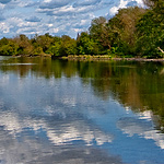 American River Reflection
