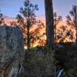 Forest Sunset, Yosemite
